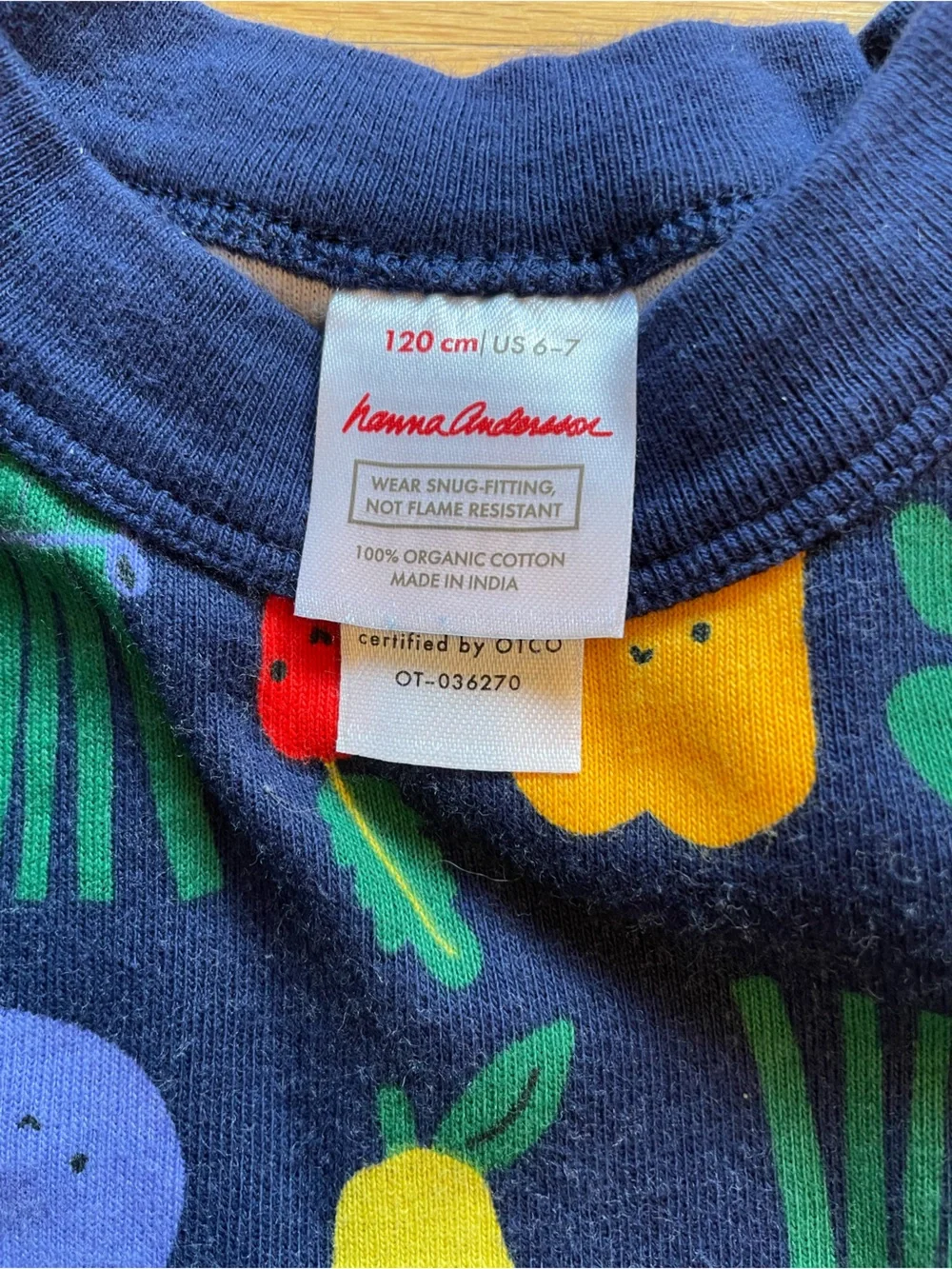 Hanna Andersson HannaJams Pajama Set in “Happy Veggies”